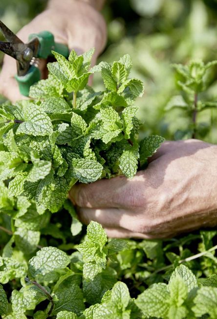 Conference packages ☛ Kufstein. Our conference hotel 