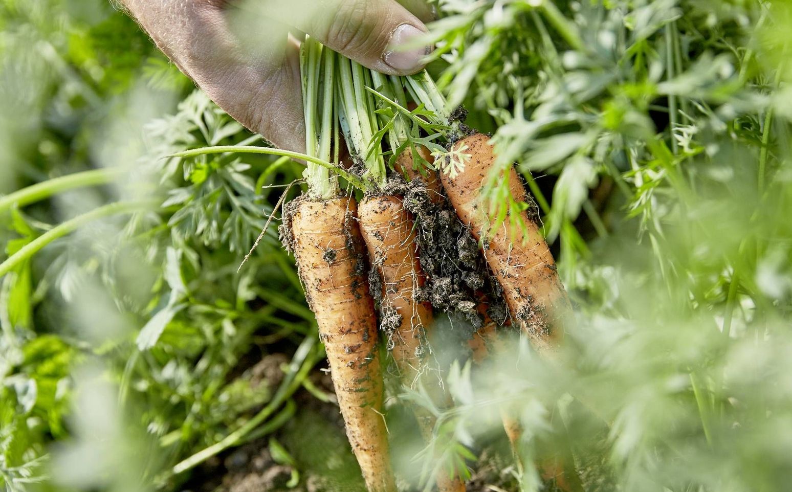 Lindhof: Eventlocation & Lieferant, Kufsteiner Land